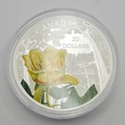 2015 Canada $20 1oz .9999 Silver Proof Coin Round Forests: Carolinean Tulip-Tree