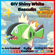 ✨ Shiny White Basculin 6IV ✨ Pokemon Scarlet & Violet 🚀 Fast 🚀