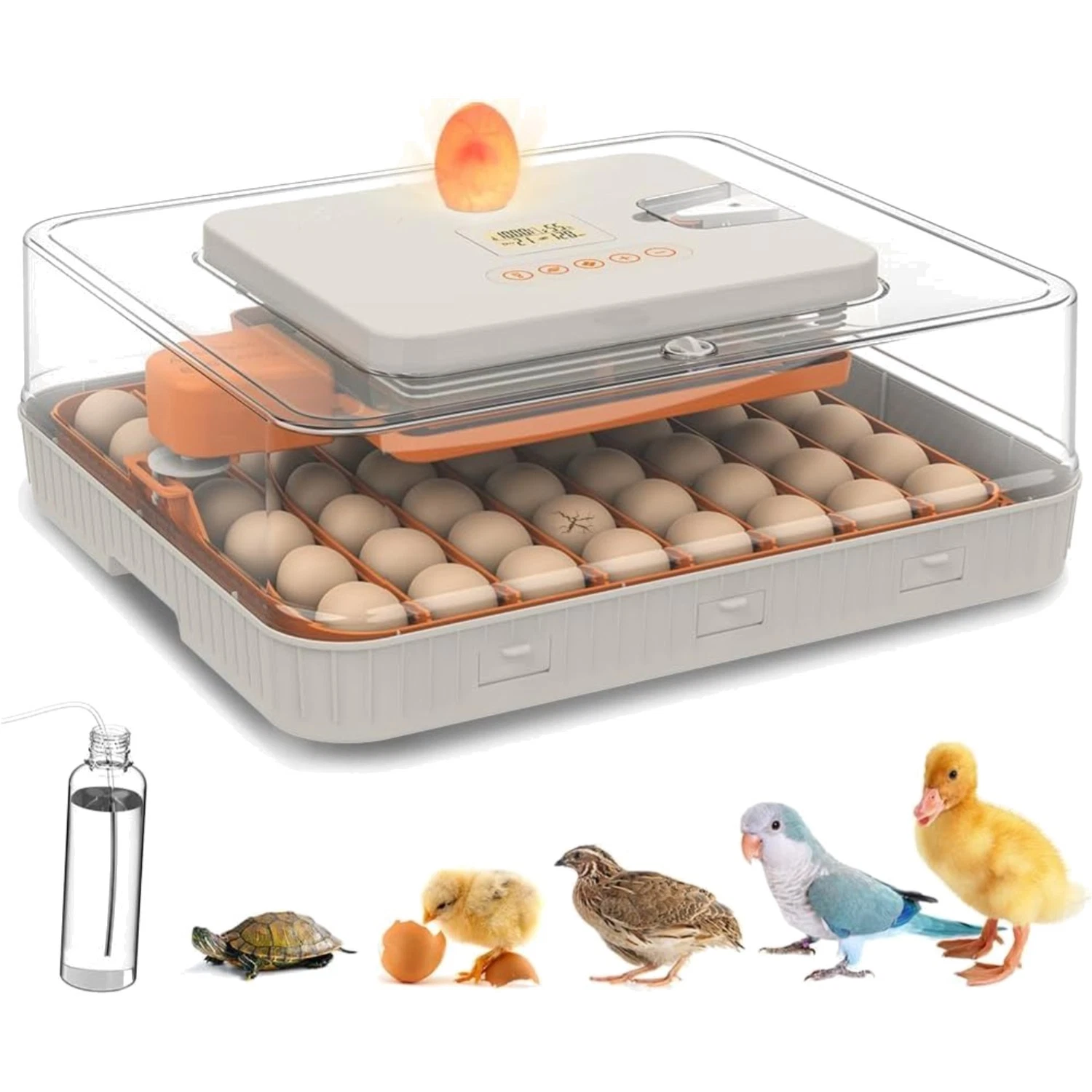 Automatic 56-Egg Incubator for Breeders, Sensor-Based Precise Humidity & Temp...