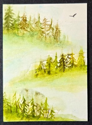 Aceo Original Watercolor art card mist Forest birds landscape Nikki C
