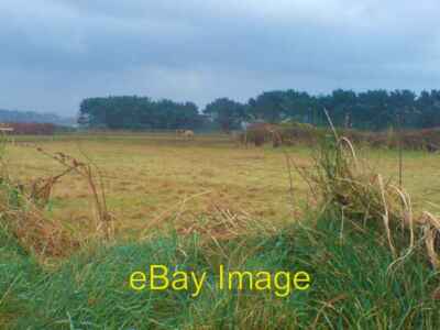 Foto 6x4 Ländliche Aussicht Llandruidion\/SM7824 Eine hübsche Dun Pony Uhren von um 2009