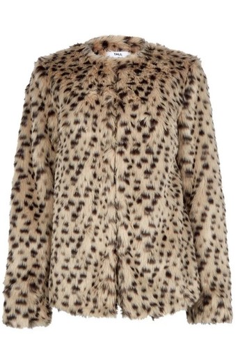 Dorothy Perkins Women's Tall Brown 