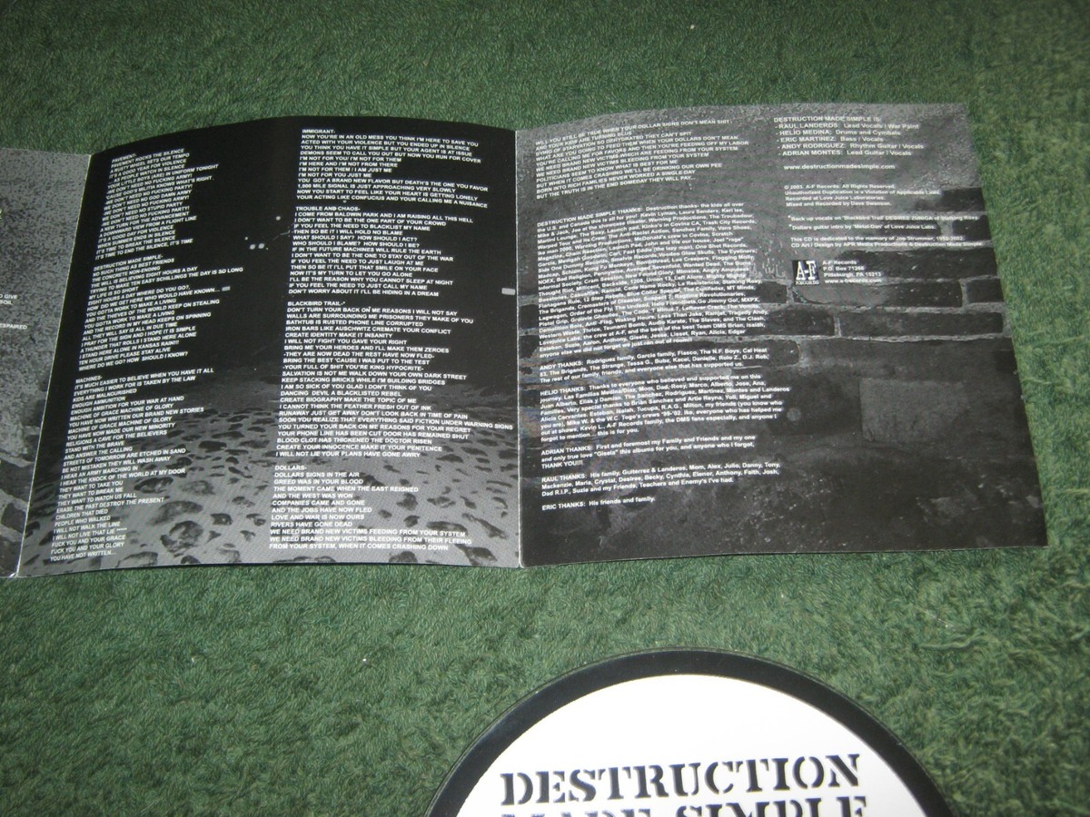 Destruction Made Simple - Terror Stricken Youth (cd) punch hole in