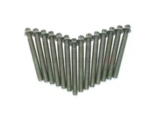 VICTORREINZ Cylinder Head Bolt Set 11121721938 BMW E36 325i E90 328i 528i M3 Z3