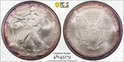 2004 Silver Eagle - Ultraviolet Label - MS69