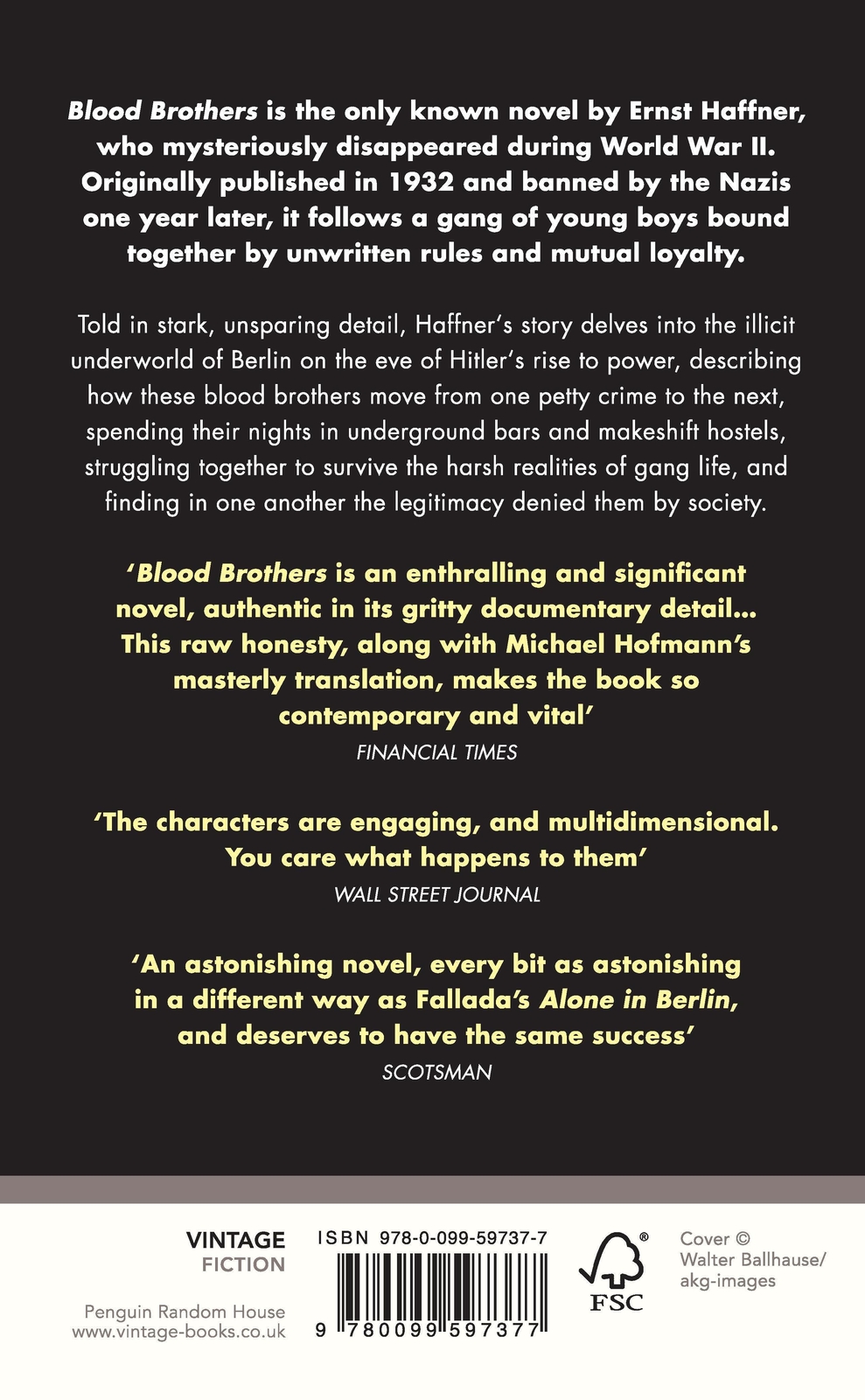 Thumbnail - Ernst Haffner | Blood Brothers | Taschenbuch | Englisch (2016) | 216