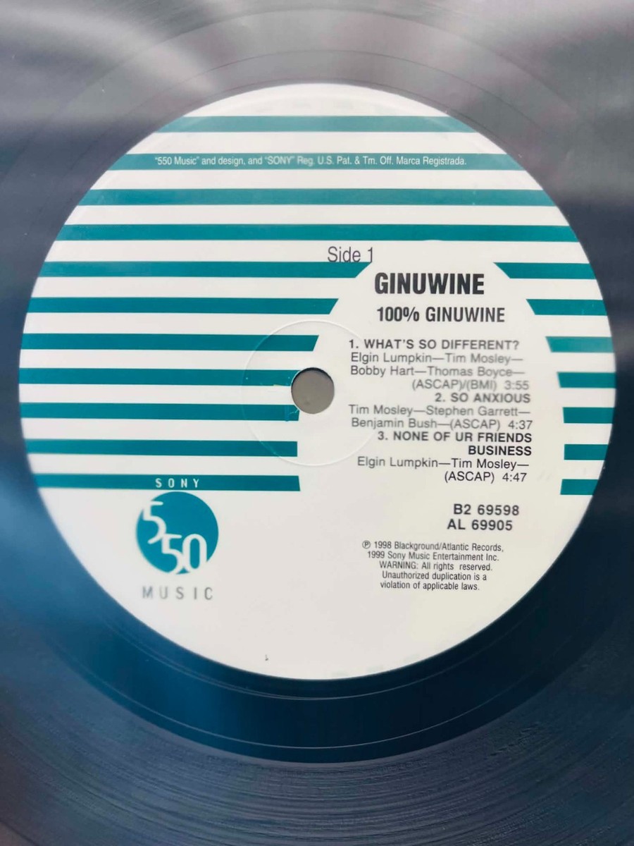 Ginuwine / 100% Ginuwine 1999 US 2LP 550 Music Record B2 69598