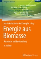 Energie aus Biomasse | Ressourcen Und Bereitstellung | Kaltschmitt (U. A.) | Xix