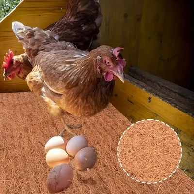 #ad 10Pcs 30x30cm Chicken Nesting Pads Natural Coir Mat for Small Animals amp; Birds $11.99