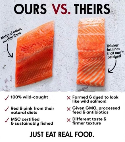 Smoked Salmon Candy Wild Caught Canadian Fish Candied Salmon Filet Seafood Gift
