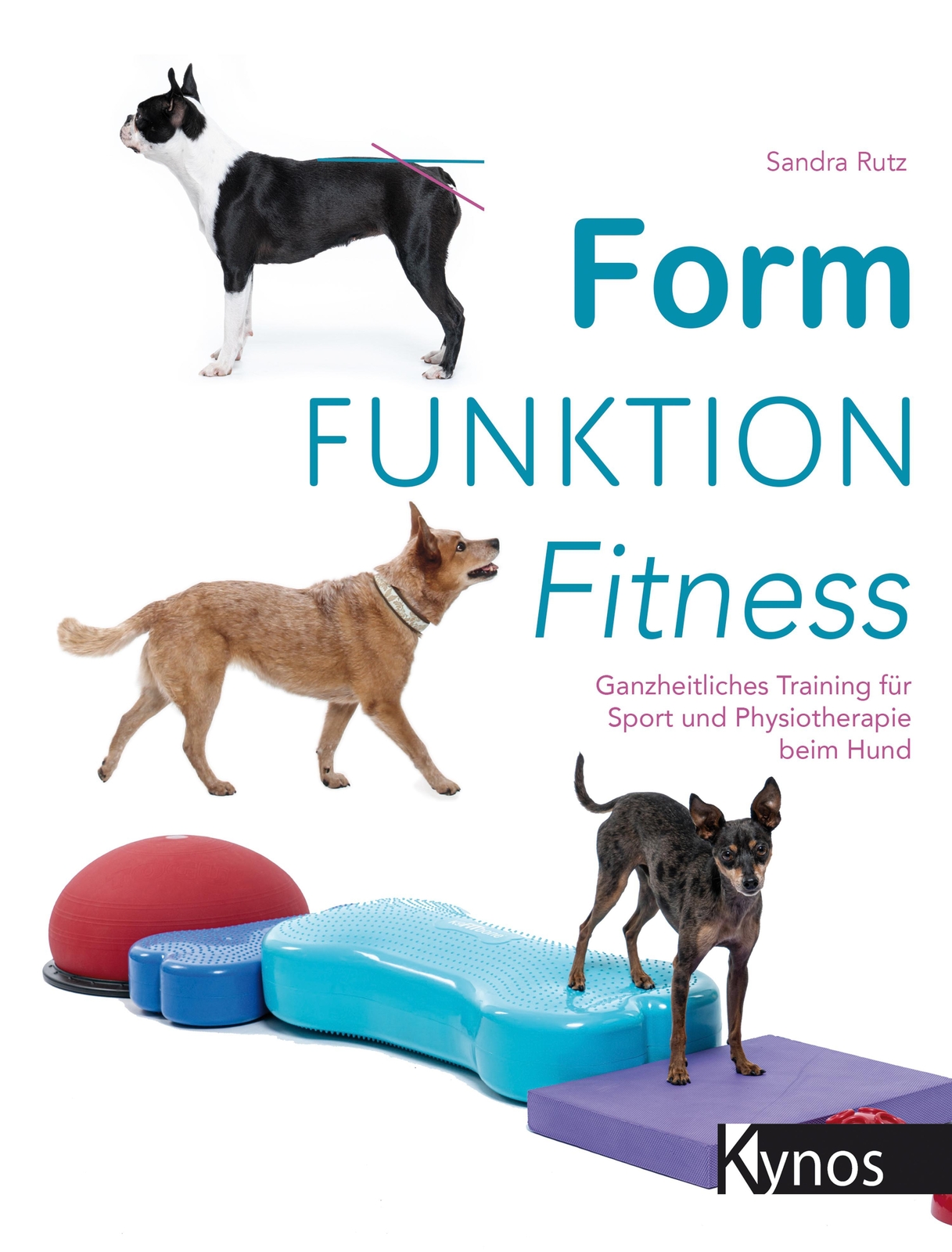 Thumbnail - Form Funktion Fitness | Sandra Rutz | Taschenbuch | 316 S. | Deutsch |