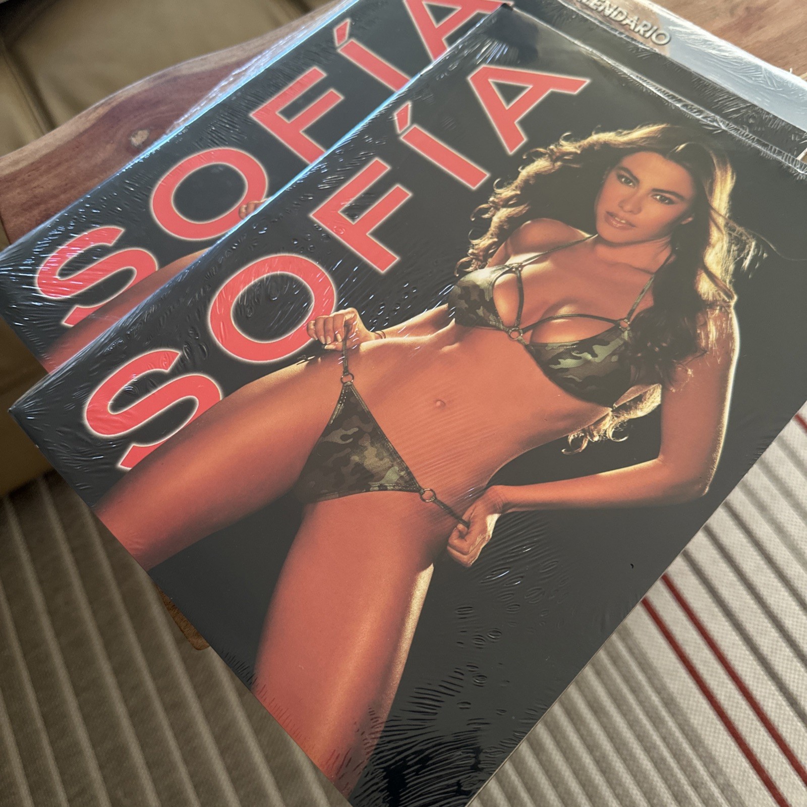 Sofía Vergara  3D Poster Y2k Super Rare Modern Family  Brand New