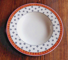 V&B SWITCH PLANTATION SAHIB   Suppenteller 24 cm gut   VILLEROY&BOCH