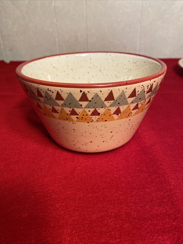 2005 RARE Pfaltzgraff "Tempe" Pattern 4 Piece Place Setting Cup,Bowl, & 2 Plates - Picture 5 of 12