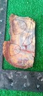 Rough Slab Lace Agate 89g. 1/4" Thick Lapidary Cabbing #B-7 — photo 6
