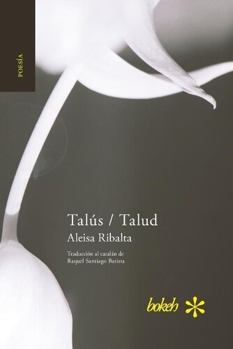 Aleisa Ribalta Talús / Talud (taschenbuch)