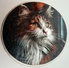 Beautiful Cat - American Silver Eagle 1oz .999 Silver Dollar Coin cat Gift