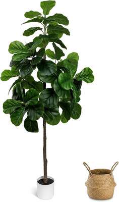 Artificial Fiddle Leaf Fig Tree 6FT - Large Fake Tree with White Planter&Basket,