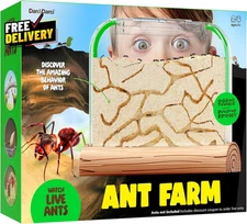 Ant Farm Kit for Kids  Farms Colony  Includes Ants Voucher  Sand Habitat Kits