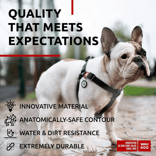 WAUDOG Waterproof Dog Harness Adjustable Dog Harness for Large Dogs Small and - Picture 4 of 6