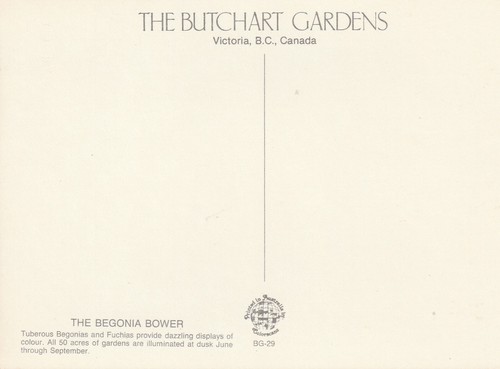 Butchart Gardens Victoria British Columbia Canada Begonia Bower Postcard - Picture 2 of 2