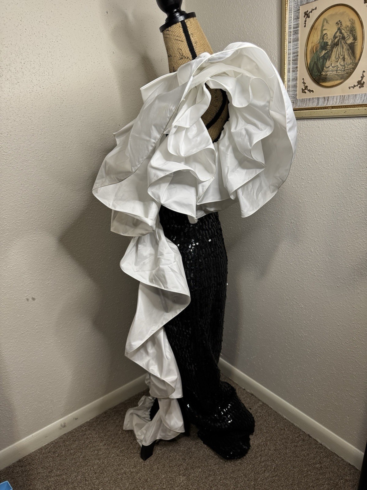 Picture 5 of 21