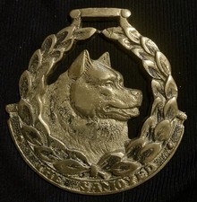 Vintage Oversized THE SAMOYED Horse Brass&bull;JEE&bull; SAMOYED LOVER&bull; WOW YOUR WALLS!