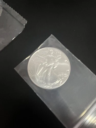 2025 1 oz American Silver Eagle Coin BU....cheapest on eBay $109 FREE SHIP