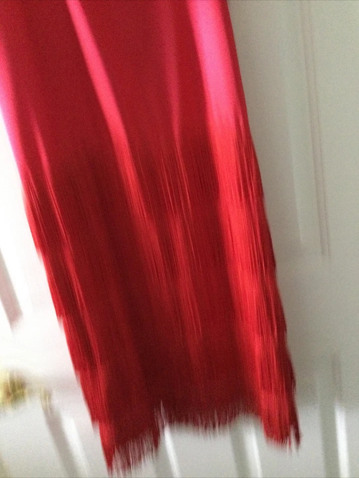 Roaring Twenties Adult Flapper Dress Fringe Red Gatsby Halloween Costume L READ - Image 2 of 4