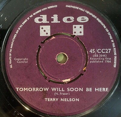 TERRY NELSON ~ Tomorrow will soon be here / My blue eyed baby DICE CC 27 EX+ 45
