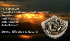 High Quality Akuamma (Picralima Nitida)20:1 Extract 100 Capsules Free Shipping!