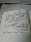 Picture 5 of 12