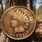 1901 Indian Head Cent Actual Coin Shown - 27