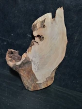 S-1825 Maple Burl Slab  12"x6-10"x1"