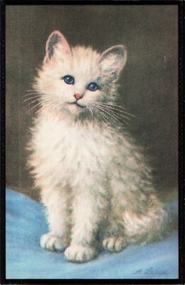 A. Lampe Artist Signed Cute Gray & White Kitten - Postcard
