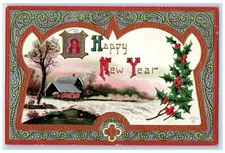 1911 New Year Houses Winter Scene Berries Spring Valley MN Embossed Postcard