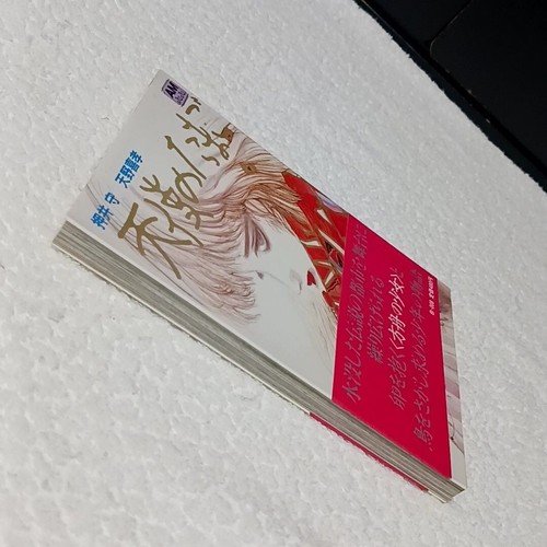 Angel's Egg Yoshitaka Amano Mamoru Oshii Art Book Illustration 1985 JAPAN USED - Picture 6 of 10