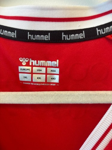 Charlton Athletic Jersey Home football shirt 2020 - 2021 Hummel Men XL - Imagen 2 de 5