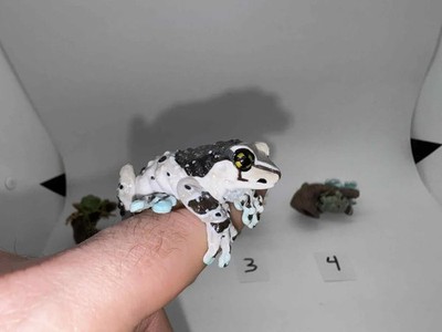Realistic Tree Frog Ring Figure Set #1