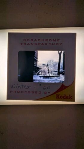 219 Florida Nags Head New Hampshire Slides Beach Mountain Winter Lake 50s 60s - Picture 4 of 13