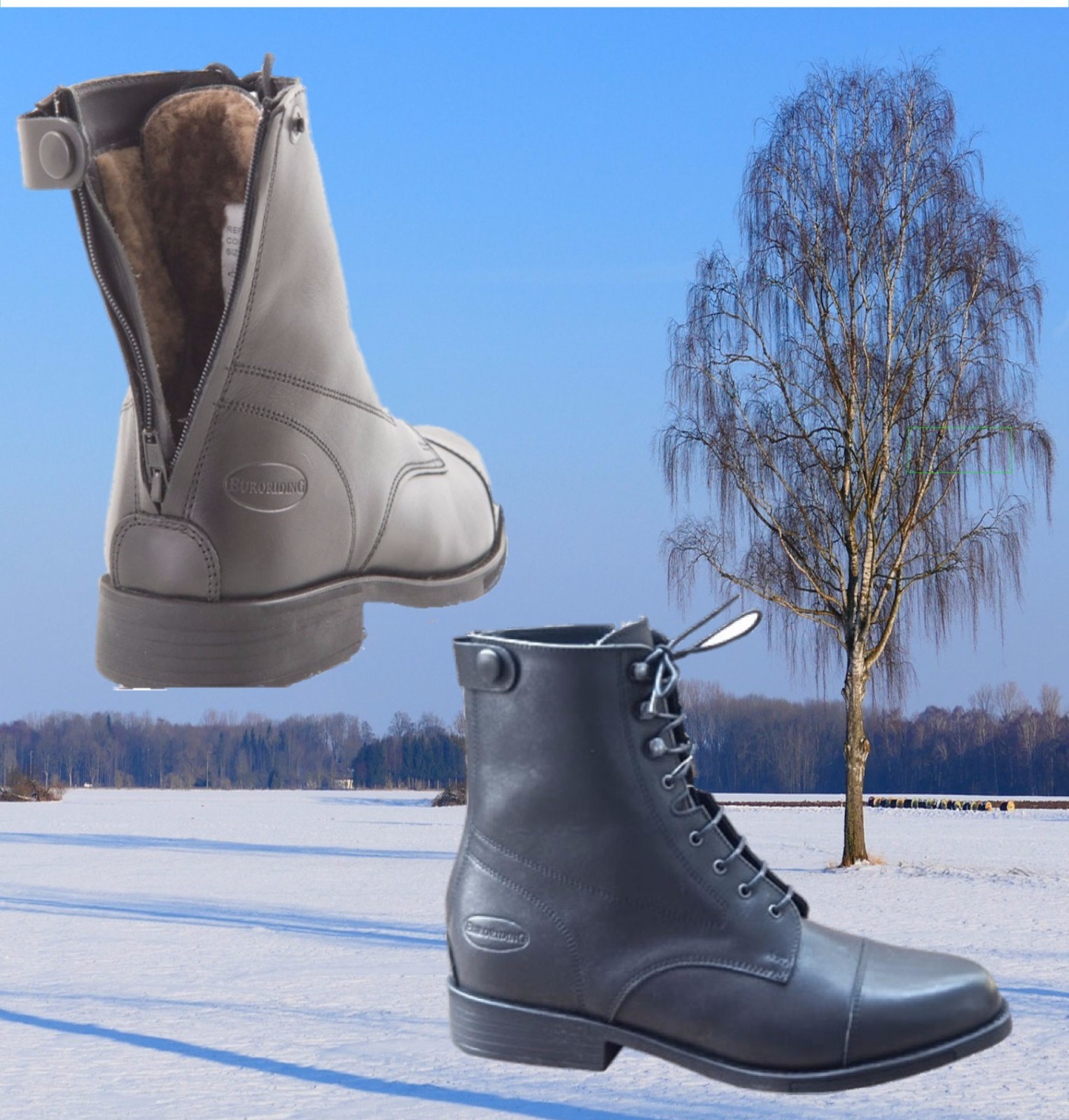 Leder Stiefelette Derby Winter schwarz, Euroriding Thermo Stiefelette
