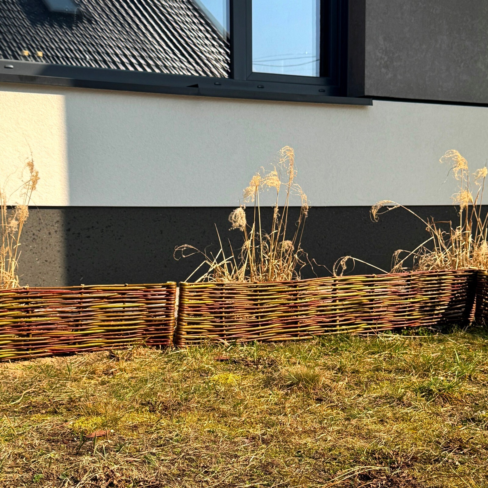 Bild 8 von 8
