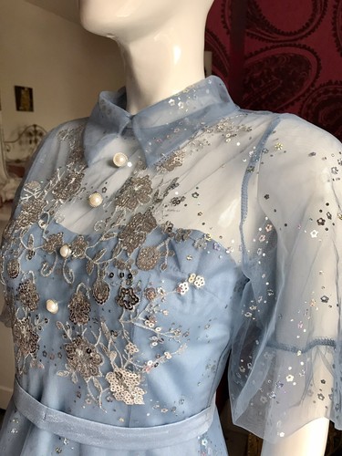 BNWT Sky Blue Tulle With Silver Embroidered & Sequins Dress Mdi Size XS/S EU 34 - Picture 6 of 12