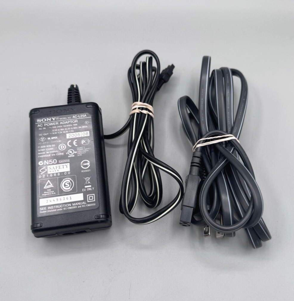 Charger 8.4v 1.7a Oem Handycam Camcorder