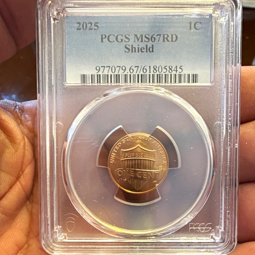 2025 Lincoln Shield Cent — photo from the most recent tracked eBay sale