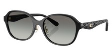 Coach Women's 56mm Black Sunglasses HC8445D-500211-56