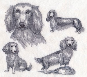 Long Haired Weiner Dog Dachshund Unique Rare Find Towels