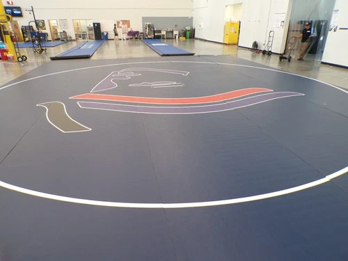 40' x 30' x 1 5/8" Dollamur Flexi-Roll MMA Wrestling Mat READ DESCRIPTION #8060