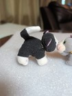 Foto 3 di 14