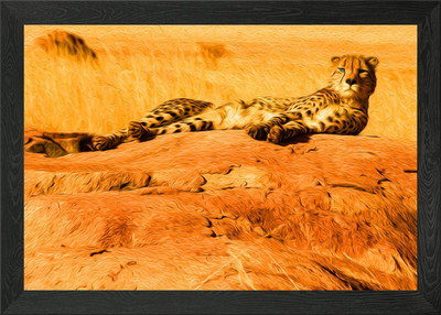 Gepard liegt auf einem Felsen gerahmtes Wandbild Poster Leinwanddruck Bild